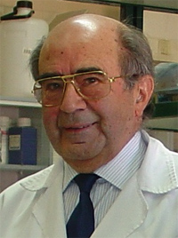 Prof. Dr. Andrés Chordi Corbo
