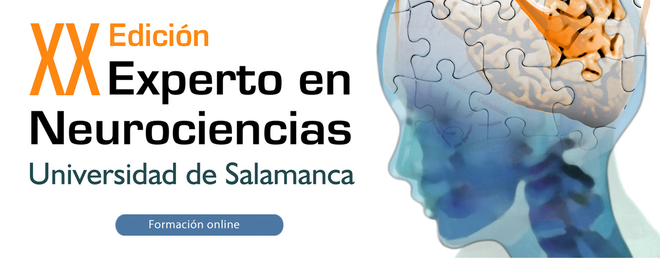 20 Edición Diploma De Especialización OnLine En Neurociencias