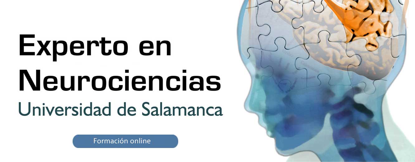 Experto online en Neurociencias