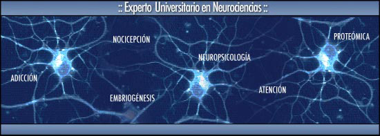 Diploma de Especialización OnLine en Neurociencias