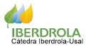 logo de Cátedra Iberdrola